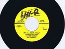 FARRIS WILDER - IT'S ALL YOUR FAULT (Hot ROCKABILLY BOP) Rare 1970s REPRO