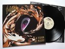 SADUS - A Vision of Misery LP 1992 RAR gorguts immolation