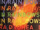 RADIOHEAD - In Rainbows - LP