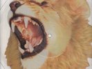 White Lion ?– Radar Love  RARE SHAPED PICTURE DISC