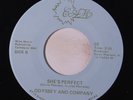 ODYSSEY AND COMPANY: She's Perfect / Let Me Be 45 rare Soul