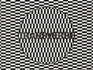 Transverse (CD Included) [VINYL] Carter Tutti Void Vinyl