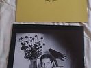 DEATH IN JUNE WALL OF SACRIFICE 2ND PRESSING YELLOW  SIGNED DATED 7/X/1989