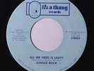JUNGLE ROCK: All We Need Is Unity / Life Is A Gamble 45 (co) rare Soul