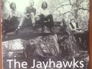 The Jayhawks Tomorrow The Green Grass Vinyl Record LP 180 Gram
