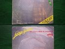 DISCO 45 GIRI VINTAGE    LARRY SANTOS We can't hide it anymore