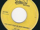 Rockabilly Andy Doll STARDAY 345 ( ? ) You can't stop me from dreaming