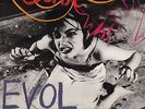 SONIC YOUTH EVOL VINYL LP REISSUE INCLUDES FREE DOWNLOAD WITH BONUS TRACK