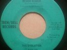 Rare Garage Psych 45 The Evolution 