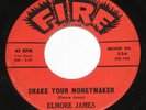 Elmore James 7