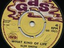 WHAT KIND OF LIFE   Slim Smith / ALL IN THE GAME   Jimmy Riley ( *GAS* 1970 ) ?