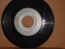 Northern Soul   Tommy Navarro