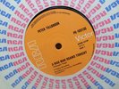 Peter Tillbrook - Mad Man Roams (Masters Apprentices) AUSSIE PSYCH 1971 RCA 45
