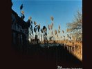 THE CINEMATIC ORCHESTRA-MA FLEUR (DELUXE 2LP+MP3)-VINYL LP (2) NINJA TUNE NEW