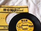 THE STANDELLS Zebra in the Kitchen / Someday You'll Cry GARAGE ROCK 45 VG+  MGM