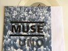Muse - Uno 7