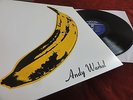 VELVET UNDERGROUND & NICO   