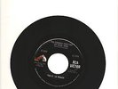 Kansas Garage The Blue Things Orange Rooftop Of Your Mind RCA 45 8998