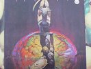 Nazareth - Expect No Mercy - Mountain Records 1977 - vinyl LP record