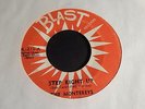 THE MONTEREYS RARE BLAST LABEL 