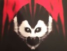The White Stripes Vault #23 Under Amazonian Lights Third Man Records Jack White