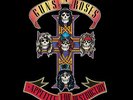 Appetite For Destruction - Guns N' Roses (2008, Vinyl NEW)