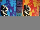 GUNS & ROSES USE YOUR ILLUSION I & II, APPETITE FOR DESTRUCTION VINYL LP