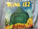 Blink 182 Buddha Vinyl