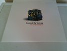 Guided by Voices 'Do the Collapse'  vinyl album not played