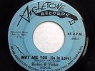 RICKIE & VICKIE 45 Why are you (so in love) / Joanie ANGLE TONE  Doowop w3544