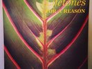 Lifetones - For A Reason This Heat Post-Punk