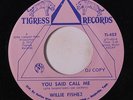 WILLIE FISHER: You Said Call Me / Instro 45 (dj) rare Soul