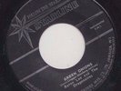 '64 STARLINE BOOKER T & THE MG's COVER 45 BYRON LEE GREEN ONIONS/ON THE TRAIL ?