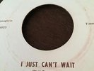 THE FIRESTONES DETROIT NORTHERN SOUL MORIA 102 I JUST CAN'T WAIT /BUY NOW PAY