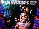 SEALED '69 MONO   THE PLEASURE FAIR   1969 BREEZY HONEY FLOWER POWER PSYCH FEMME