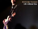 Stevie Ray Vaughan - Life Without You, Vinyl LP (DFMK BRR4009)