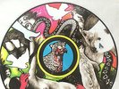 Yeah Yeah Yeahs Fever to Tell Vinyl US Picture Limited Edition Never Played