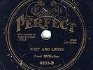 BLUES - FRED McMULLEN 