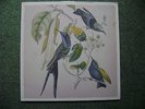 very rare, susumu yokota- sakura double vinyl lp