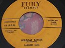 Rockabilly R&B 45-TARHEEL SLIM-Wildcat Tamer/Number 9-1958 Fury 1016-RARE