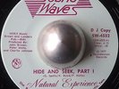 SWEET SOUL NATURAL EXPERIENCE Hide and seek SOUND WAVES LISTEN