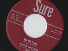 Wayne Williams ORIG RARE ROCKABILLY 45 Sure 1001 Red Hot Mama hear