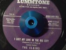 RARE 45 - THE ELGINS I LOST MY LOVE IN THE BIG CITY /FINALLY Doo Wop Soul Listen