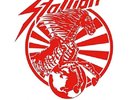 STALLION - MOUNTING THE WORLD (LTD.BLACK VINYL WITH DOWNLOAD  VINYL LP NEW+