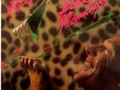 Dave McArtney & The Pink Flamingos-LP-1980 Polydor New Zealand Poster-2390 112