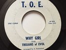 Trojans Of Evol 