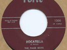 DETROIT SURF TITTYSHAKER 45   PAGE BOYS   