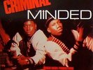 Boogie Down Productions - Criminal Minded (LP) BDP KRS-ONE Gangtarr MF Doom RE