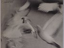 DONALD BYRD: Free Form BLUE NOTE 4118 vinyl USA NY vinyl LP 