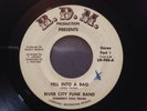RIVER CITY FUNK BAND - FELL INTO A BAG - FUNK HOLY GRAIL 45 - R.D.M.
